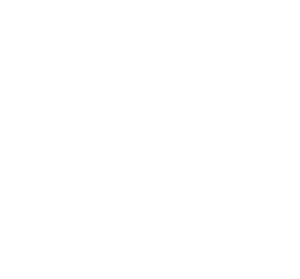 E-commerce icon