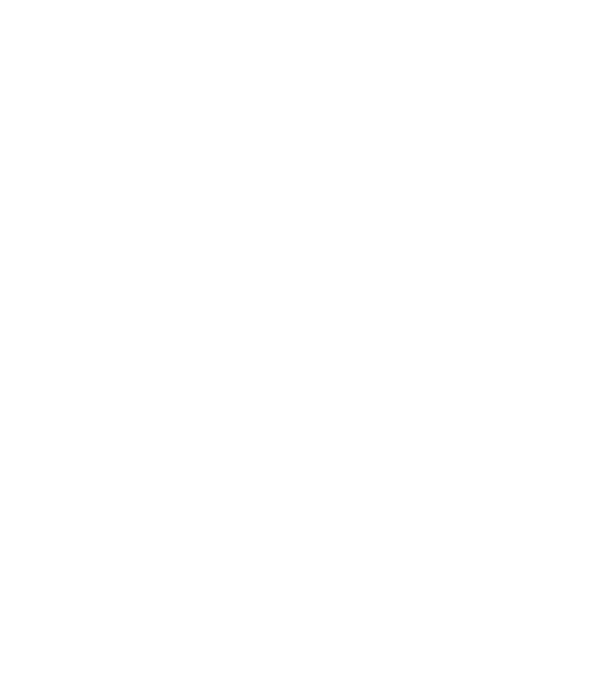 Insurance icon